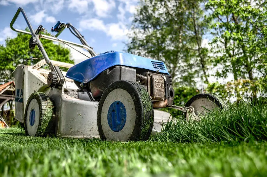 Koszenie trawy – o czym należy pamiętać i z jakiego sprzętu korzystać?