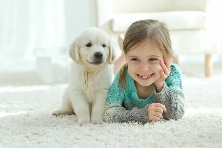 Najlepsze dywany dziecięce – idealny dodatek do pokoju malucha