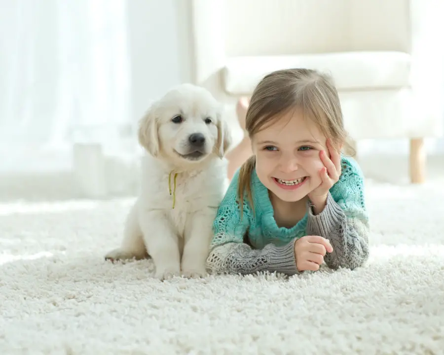 Najlepsze dywany dziecięce – idealny dodatek do pokoju malucha