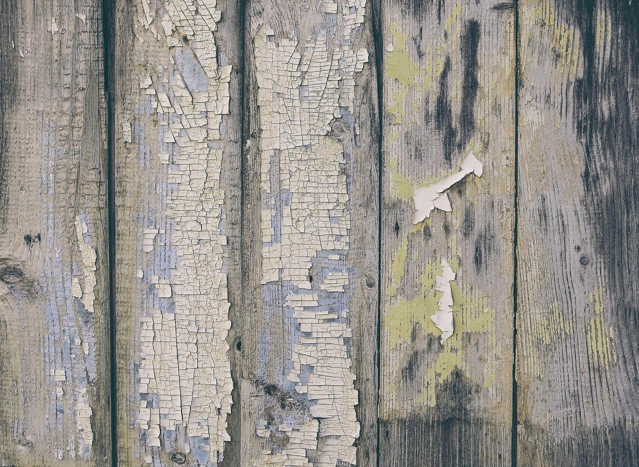 Czy można malować drewno farbą do ścian? Poradnik dla miłośników DIY