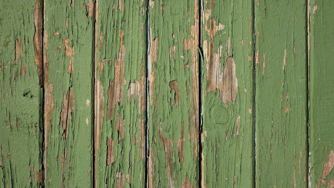 Farba czy impregnat do drewna: który wybrać dla optymalnej ochrony i estetyki?