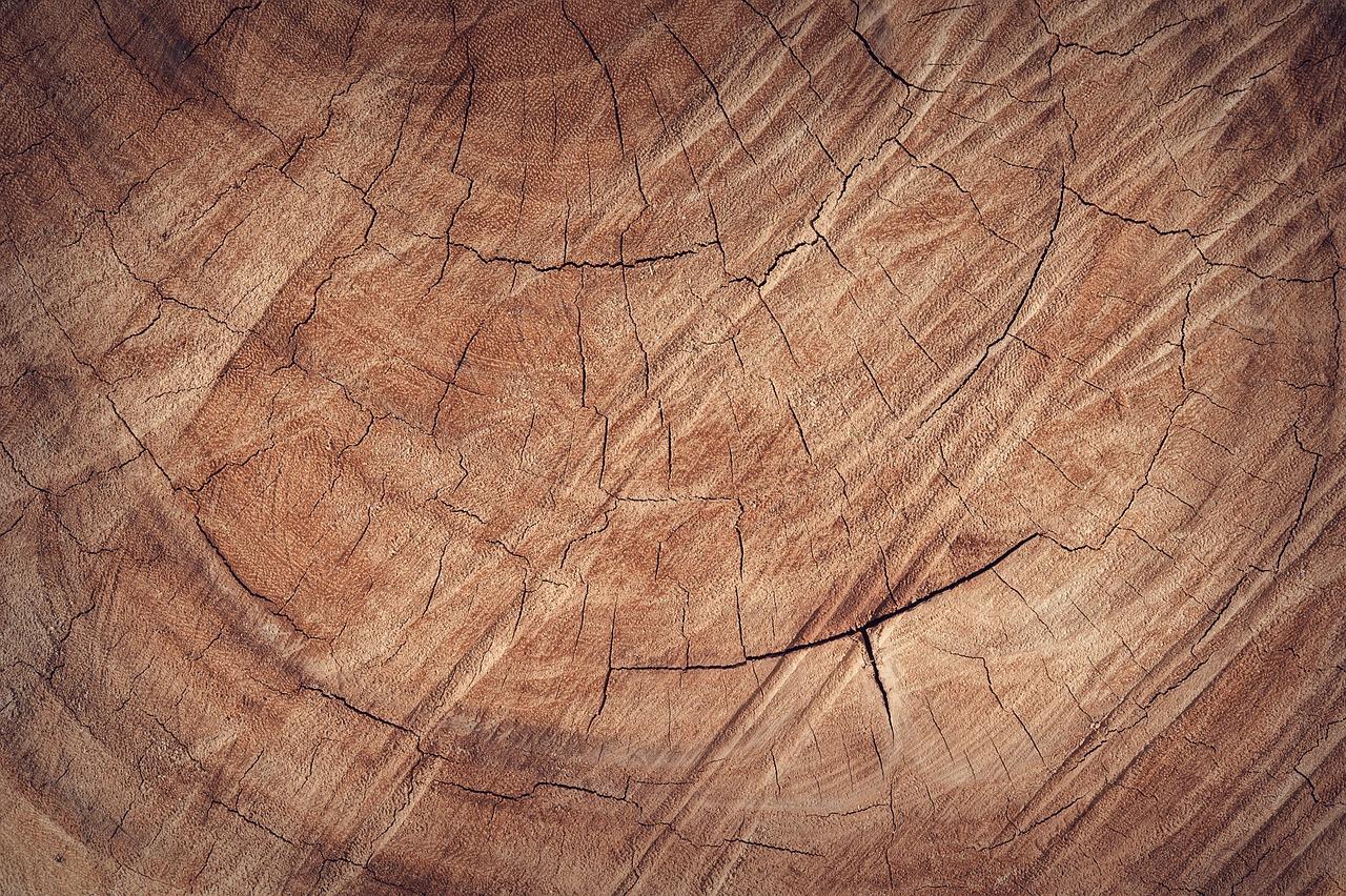 Podłoga drewniana: Olejowana czy lakierowana? Wybierz odpowiednią opcję dla swojego wnętrza